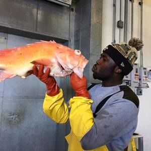 Meet your Posher, Ivan